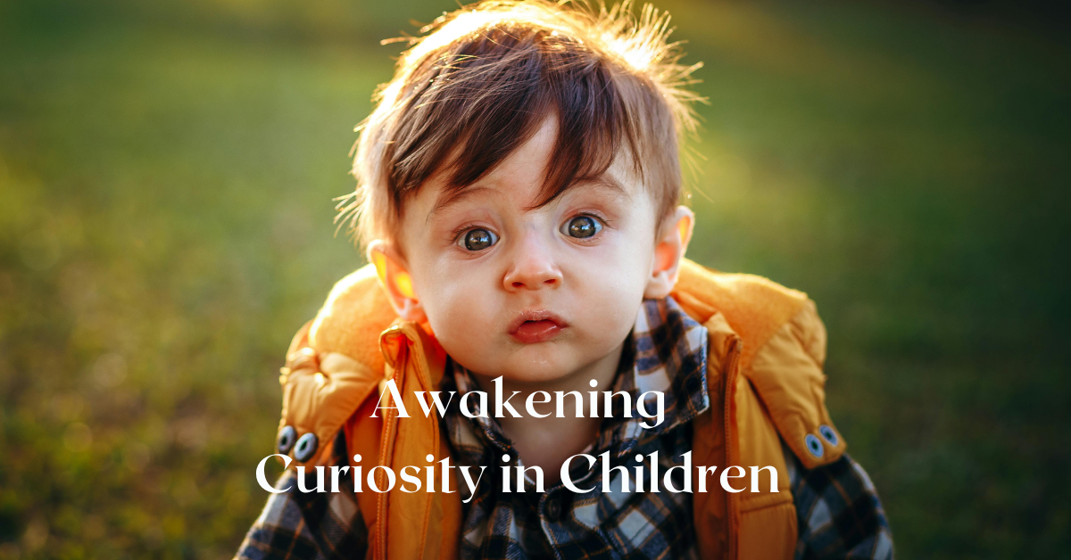 Read more about the article 7 Practical Ways to Awaken Curiosity